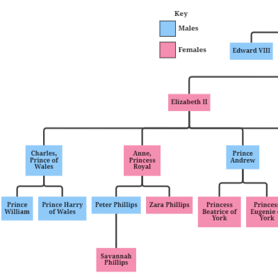Shows a standard family tree.