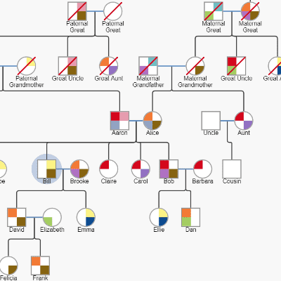 A genogram or pedigree chart is an extended family tree diagram that show information about each person or each relationship.